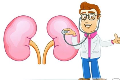 你的腎臟健康嗎？研究表明補(bǔ)硒對(duì)腎臟有保護(hù)作用