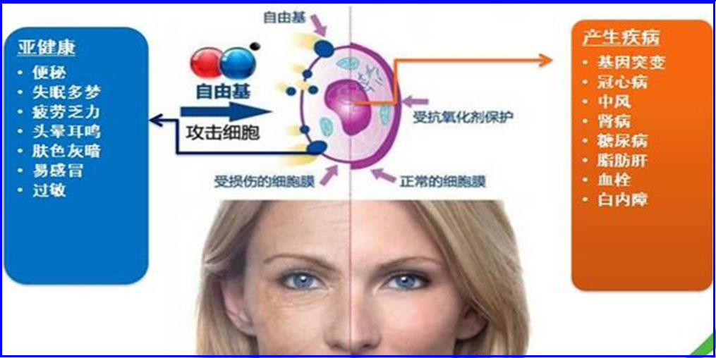 自由基是“百病之源”?硒元素可清除自由基