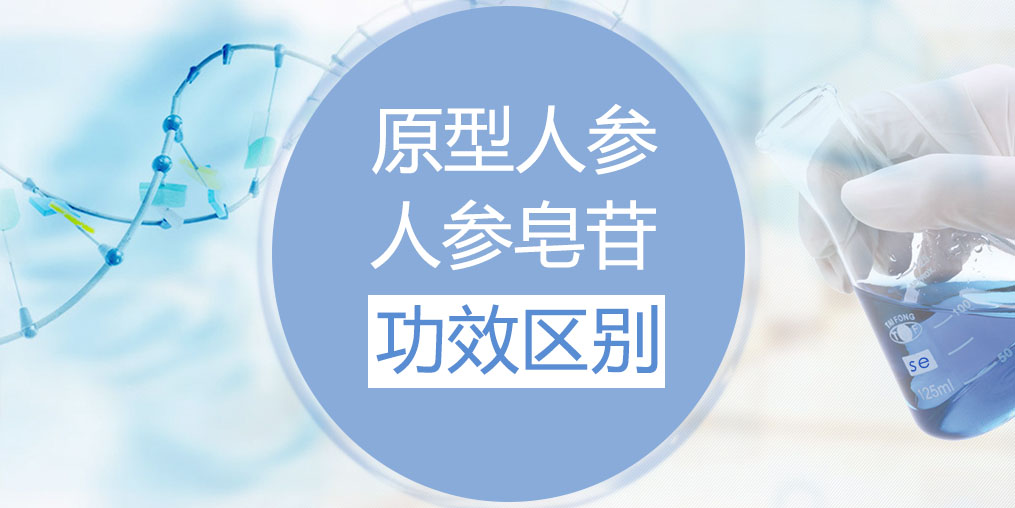 人參和人參皂苷的功效區(qū)別在哪里？