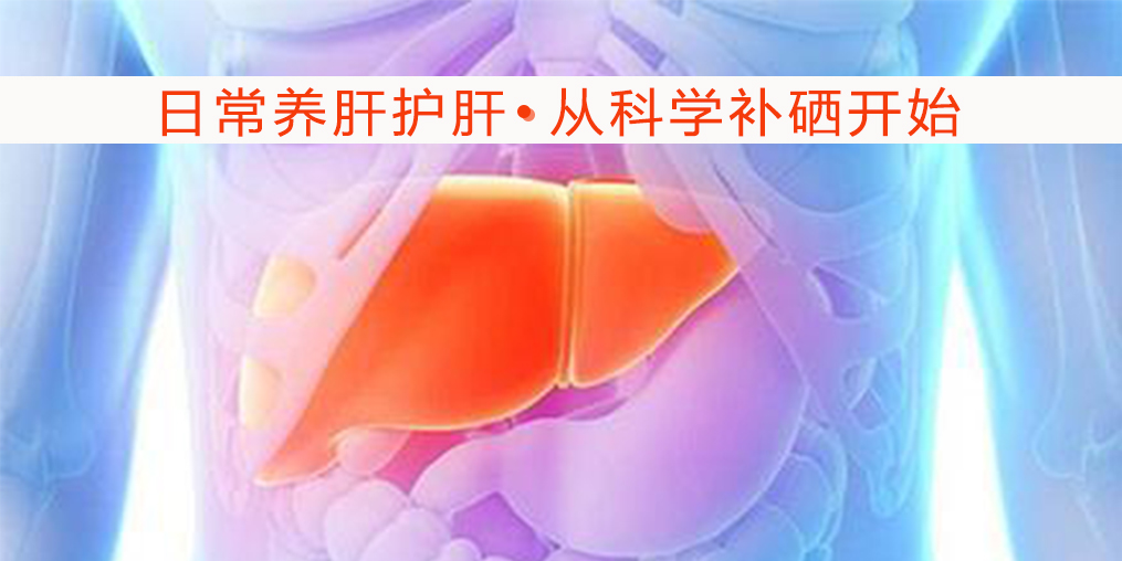   秋季保護肝臟健康，離不開微量元素硒的保護