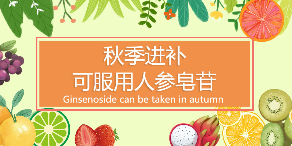 秋季進補最佳時，可適當服用人參皂苷嗎？