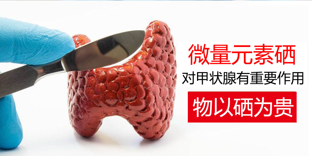 物以“硒”為貴，甲狀腺疾病能適當(dāng)補硒嗎？