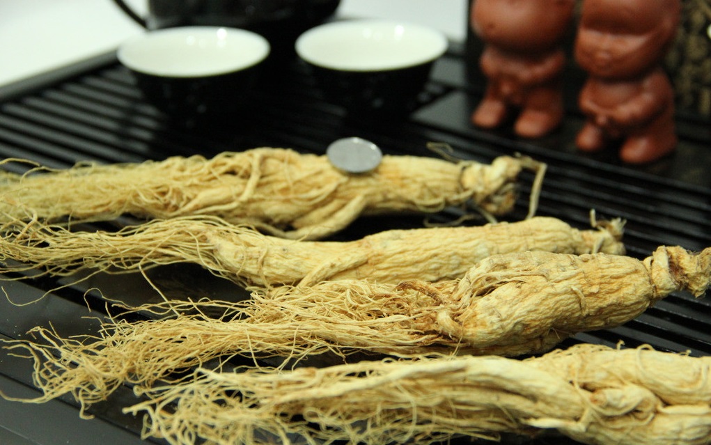 什么是人參皂苷？它對人體的健康有哪些功效？