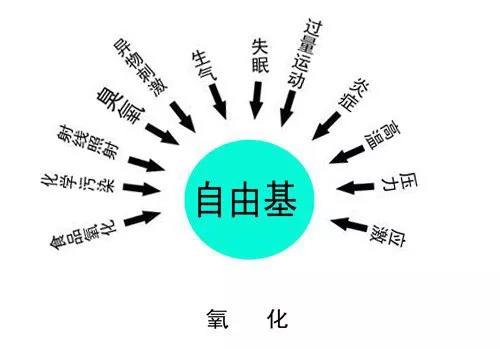 自由基是萬(wàn)病之源，補(bǔ)硒可以有效清除自由基