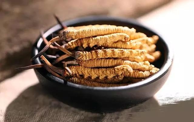 冬蟲(chóng)夏草為什么得到很多人的認(rèn)可？