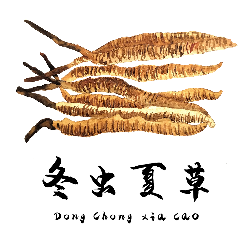 對(duì)于食道癌，冬蟲(chóng)夏草有一定的改善作用